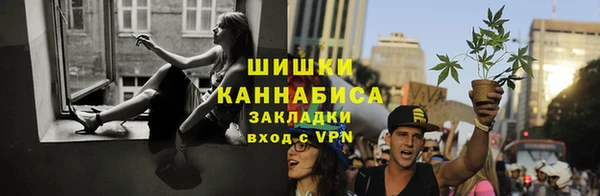 дмт Пестово