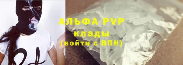 дживик Переславль-Залесский